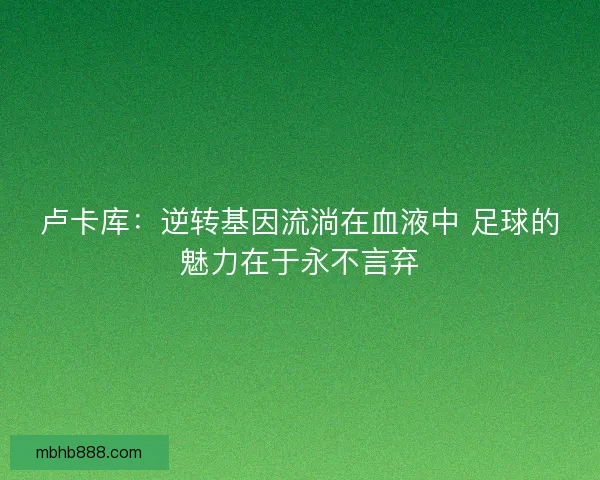 卢卡库：逆转基因流淌在血液中 足球的魅力在于永不言弃